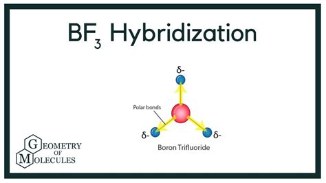 Hybridization of BF3 (Boron trifluoride) - YouTube