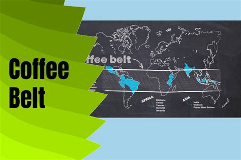 What Is The Coffee Belt And Where Is It Located?