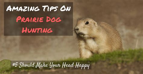 Prairie Dog Hunting - Prairie Dogs Shooting (#5 Should Make Your Head ...