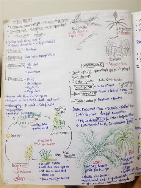 BOTANY (short notes) | Biology facts, Biology notes, Biology lessons