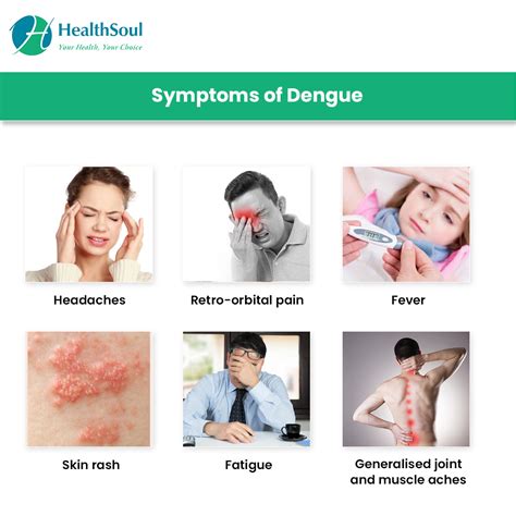 Dengue: Symptoms and Prevention - Healthsoul