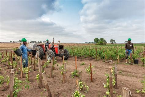 Tractors Can Change Farming In Good Ways and Bad: Lessons From Four ...