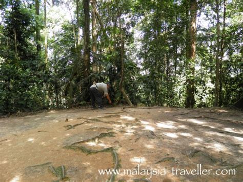 Hiking Ayer Hitam Forest Reserve, Puchong Hill, Selangor, Malaysia