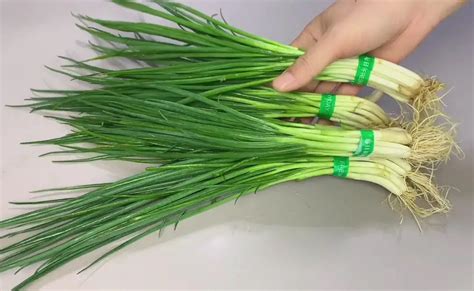 Shallots Vs Green Onion Vs Scallions Vs Chives | Are They The Same? - Kitchen (Mis)Adventures