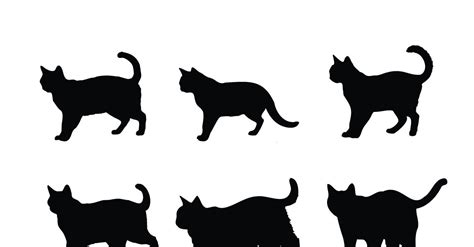 Cat silhouette design collection vector - TemplateMonster