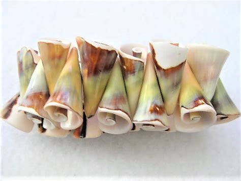 Shell Stretch Bracelet