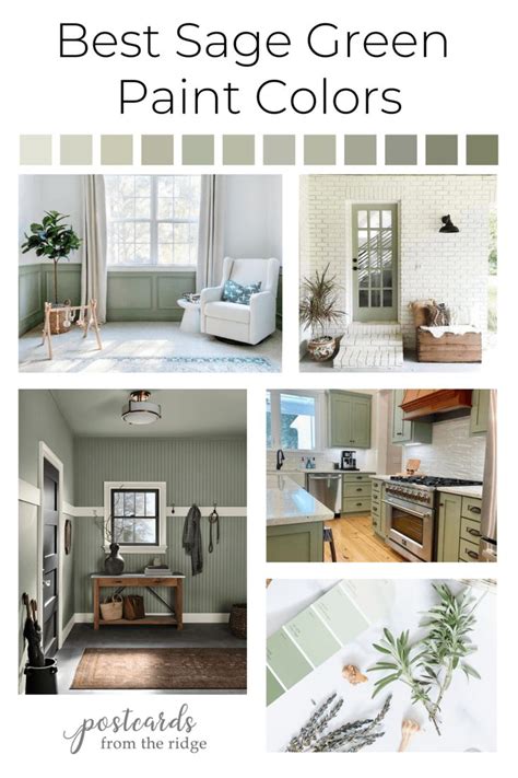 the best sage green paint colors