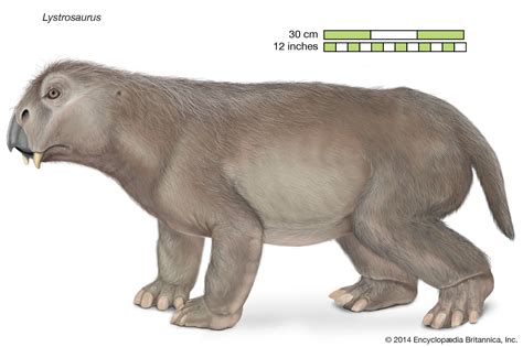 Triassic Period - Invertebrates, Reptiles, Dinosaurs | Britannica