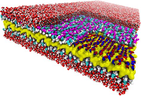 Newly Discovered ‘Design Rule’ Brings Nature-Inspired Nanostructures ...