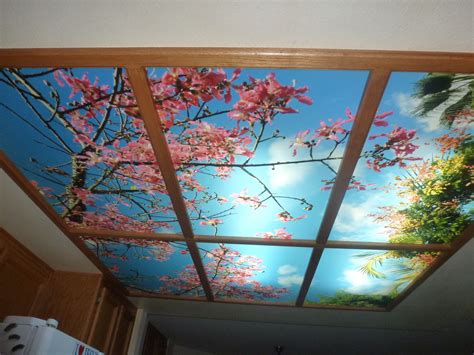 Sky Ceiling Murals - Highest Quality by Fluorescent Gallery | Ceiling murals, Sky ceiling, Mural