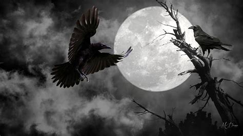 Top more than 66 gothic raven wallpaper latest - in.cdgdbentre