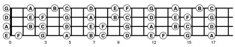 Bass Fretography: Bass Fretboard Symmetry