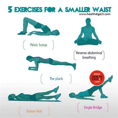 Do Ab Workouts Make Your Waist Smaller - WorkoutWalls