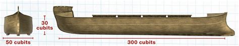 Thinking Outside the Box: Size and Shape of the Ark | Answers in Genesis