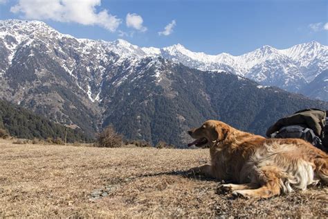 Kangra Valley India | Explore Kangra Hills from Rakkh Resort