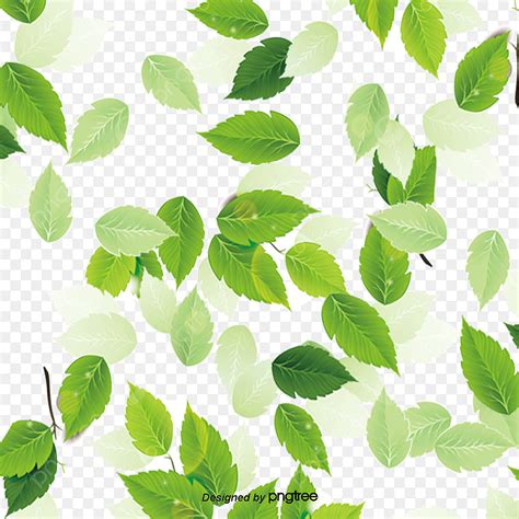 Leaf Texture PNG Image, Leaf Texture, Defoliation, Fall PNG Image For Free Download