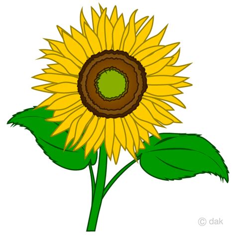 Sunflower Pictures Clip Art | Best Flower Site