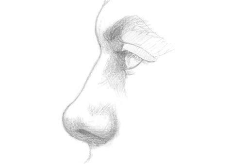 3 Step Nose Side View Drawing Tutorial - EasyDrawingTips