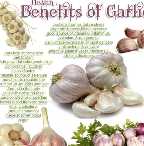 Awesome Health Benefits of Garlic | Health Benefits of Fruits