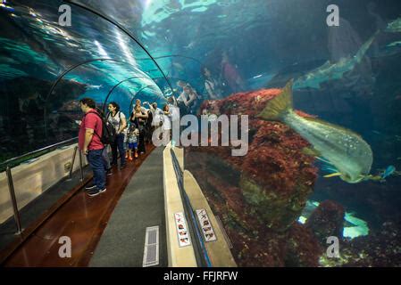 Visitors in underwater tunnel of Barcelona Aquarium, Port Vell harbor in Barcelona, Spain Stock ...