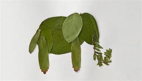 Leafy animal craft | San Diego Zoo Kids