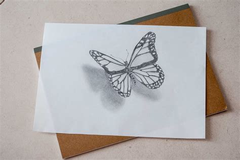 Butterfly drawing in 3D. Step by step — Steemit | Butterfly drawing, Butterfly sketch, Butterfly ...