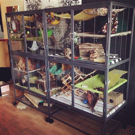 Giant Ferret Cage