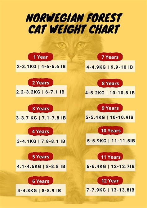 Cat Weight Chart By Age & Height In Kg, Ibs ⚖