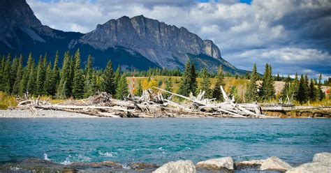 20 Best Hotels in Kananaskis. Hotels from C$ 43/night - KAYAK