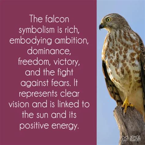 Falcon Symbolism & Meaning: 9 Unbelievable Symbols For Different Cultures - Joyce Elliott