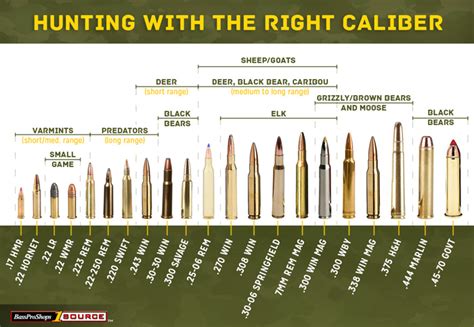 Chart Of Gun Calibers