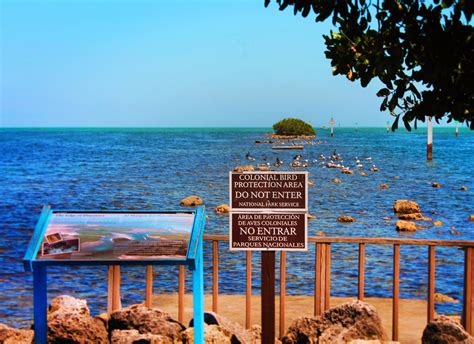 Bird Refuge at Biscayne National Park 1 - 2TravelDads