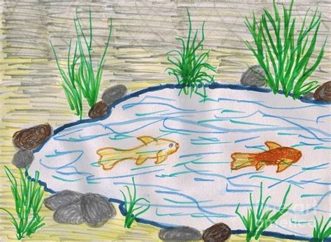 Fish Pond Drawing at PaintingValley.com | Explore collection of Fish Pond Drawing