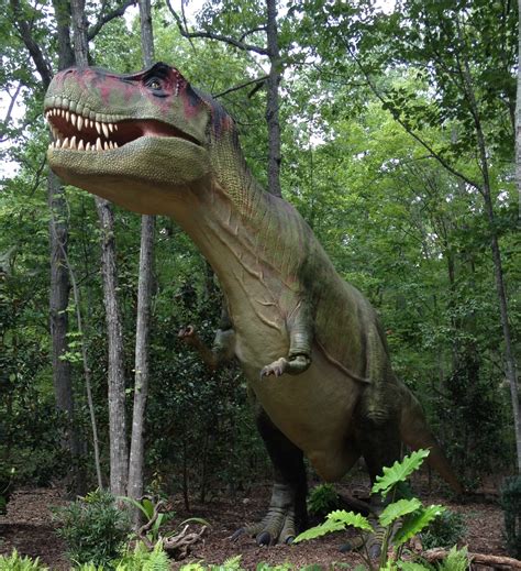 Cretaceous Period Dinosaurs | Dinosaurs Pictures and Facts