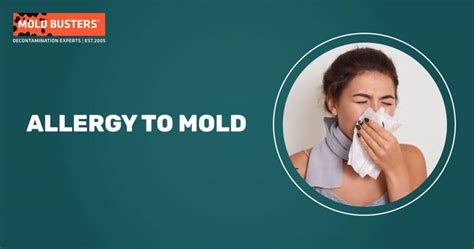 Mold Allergies: Guide to Symptoms, Treatment, and Prevention