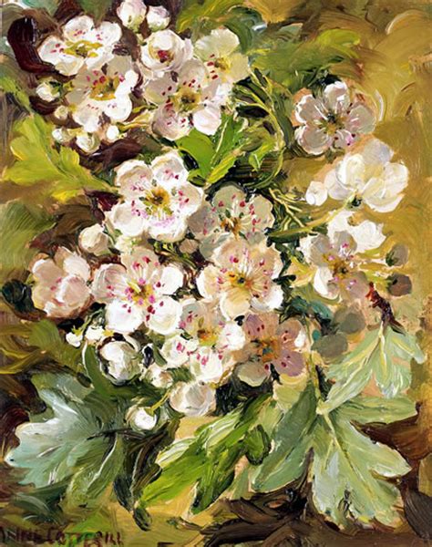 Hawthorn Blossom | Mill House Fine Art – Publishers of Anne Cotterill ...