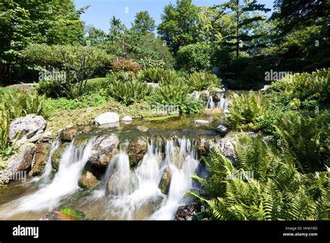 waterfall in japanese garden Stock Photo - Alamy