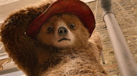 PADDINGTON 2 OFFICIAL FIRST-LOOK TRAILER [AUSTRALIA] In Cinemas December 2017 - YouTube