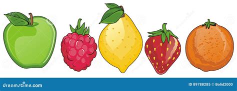 Fruits on the row stock illustration. Illustration of colored - 89788285