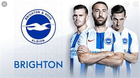 Brighton Players 2019/20 Weekly Wages, Salaries Revealed