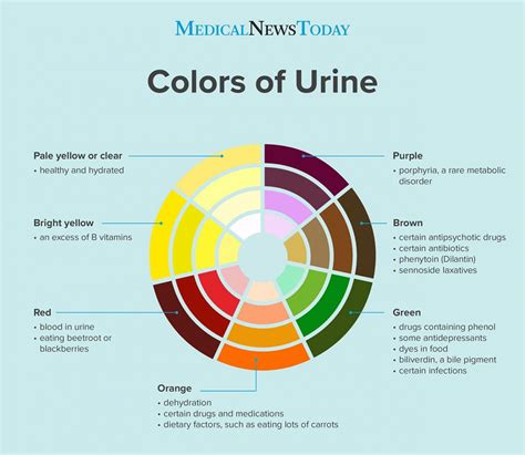 5 causes of dark urine - urine color chart and meaning in 2020 color of urine nursing | urine ...