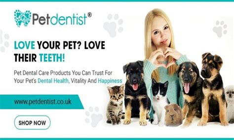 Discover the Best Dog Dental Care Products - AISLAC