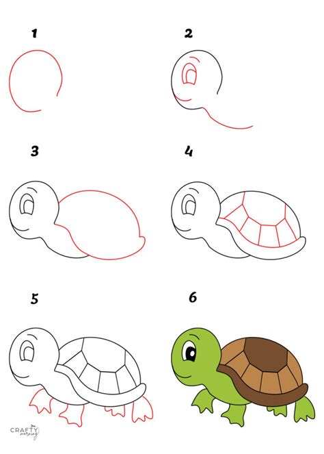 Drawing a Tortoise (Step by Step Tutorial) - Crafty Morning