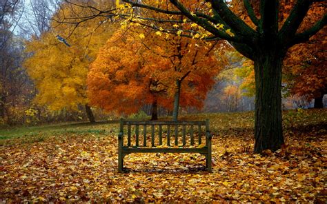 Beautiful Fall Scenery Wallpaper (49+ images)