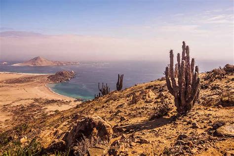 20 Chile Beaches For Your Bucket List In 2024