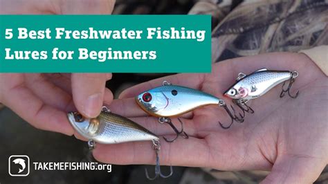 5 Best Freshwater Fishing Lures for Beginners - Fishing