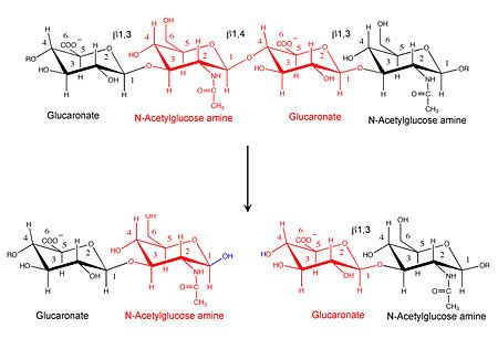 Hyaluronidase - Proteopedia, life in 3D