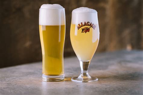 Ale vs. Lager - what's the difference? - Allagash Brewing Company