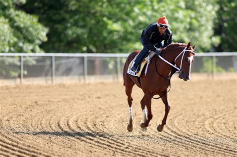 2023 Preakness Stakes odds, picks, prediction: How to bet Saturday's race