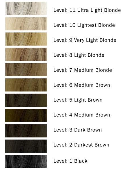 ion hair color chart for beginners and everyone else lewigs - ion ...